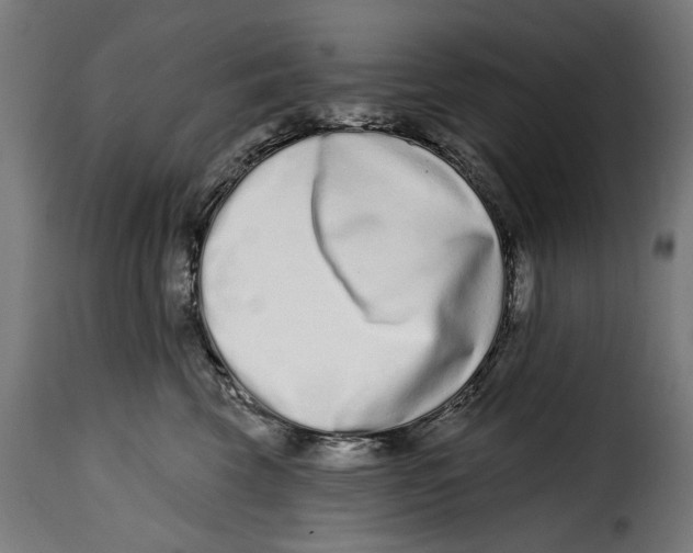 X0000114990569200911231144