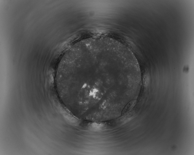 X0000114990570200911231144