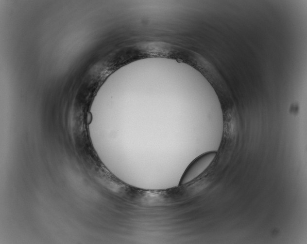 X0000114990573200911231144