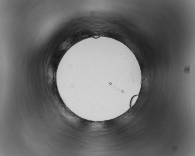 X0000114990574200911231144