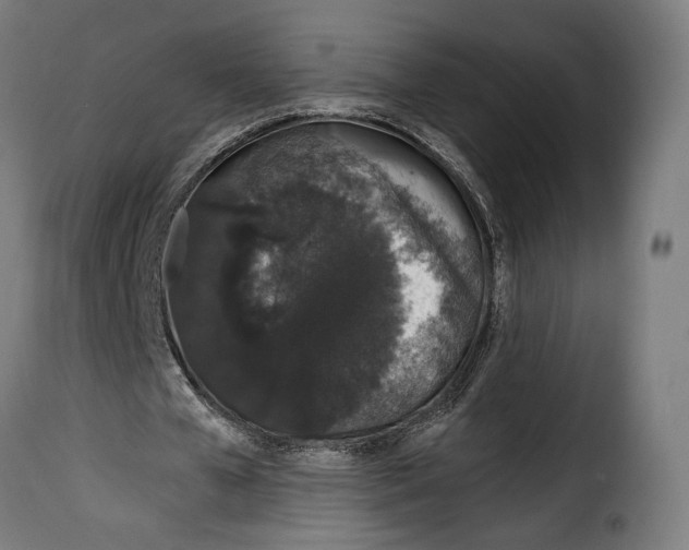 X0000114990577200911231143