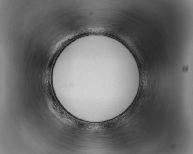 X0000114990583200911231143