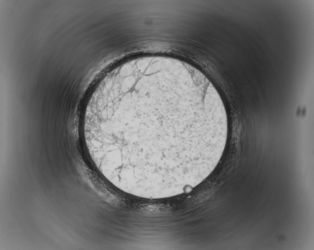 X0000114990584200911231143