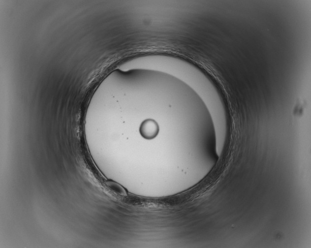 X0000114990585200911231143