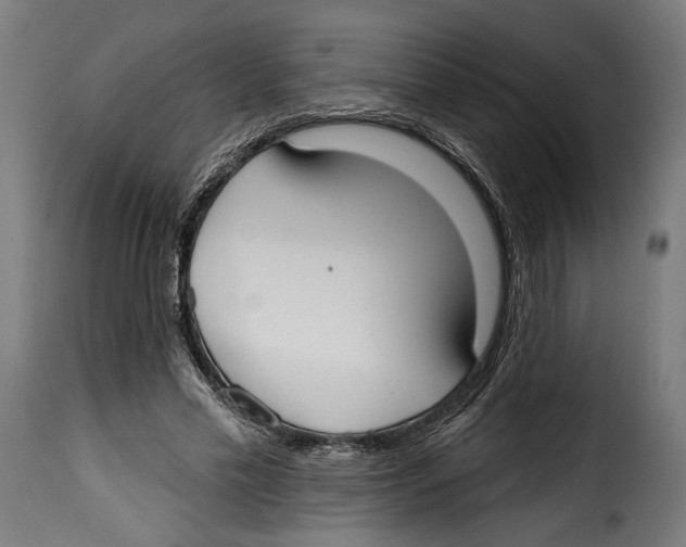 X0000114990589200911231143