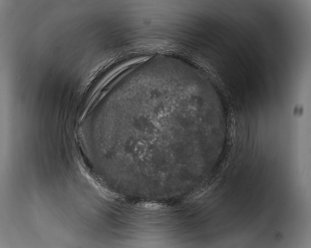 X0000114990590200911231143