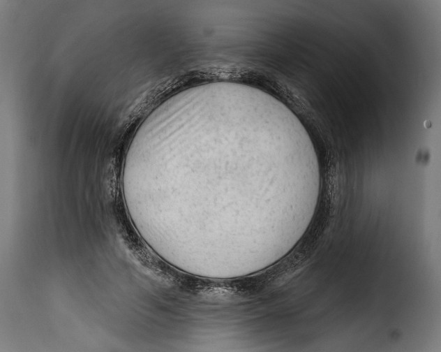 X0000114990594200911231143