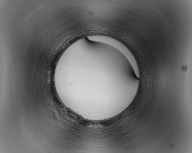 X0000114990595200911231143