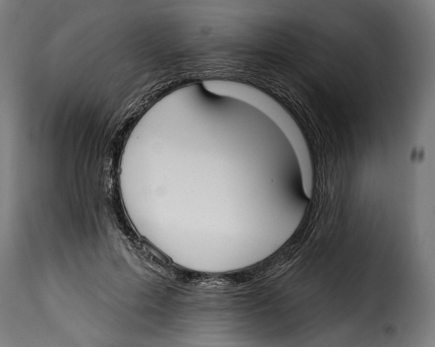 X0000114990599200911231143