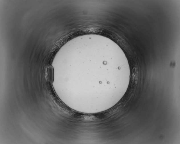 X0000114990605200911231143