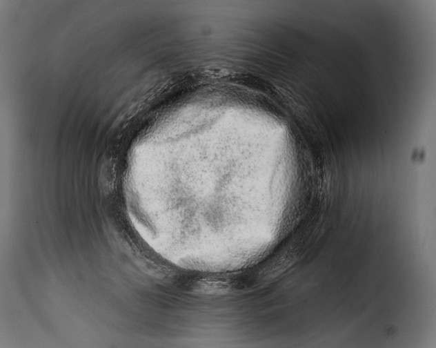 X0000114990606200911231143