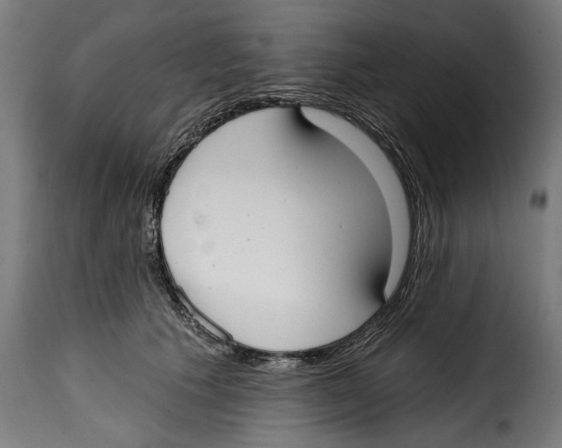 X0000114990609200911231143