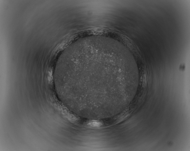 X0000114990610200911231143