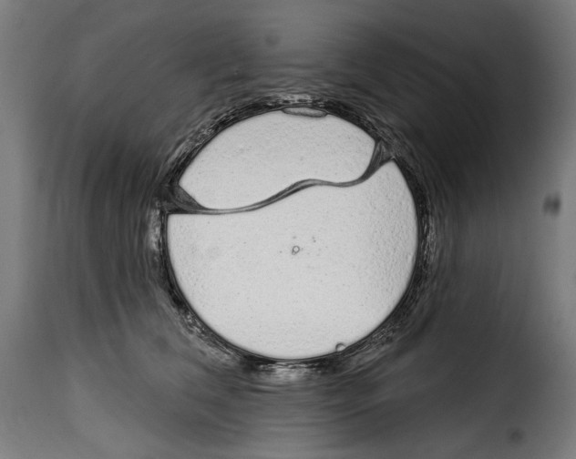 X0000114990612200911231143