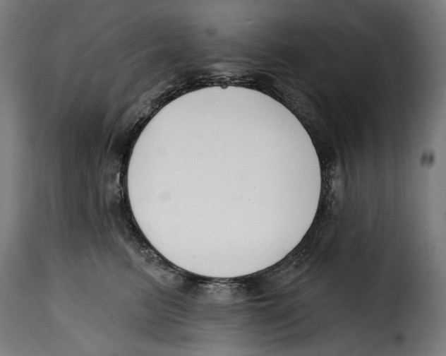 X0000114990615200911231143