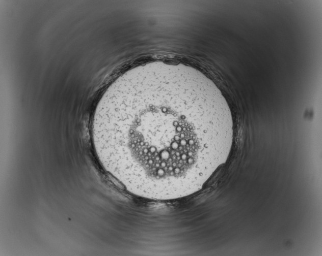 X0000114990616200911231143