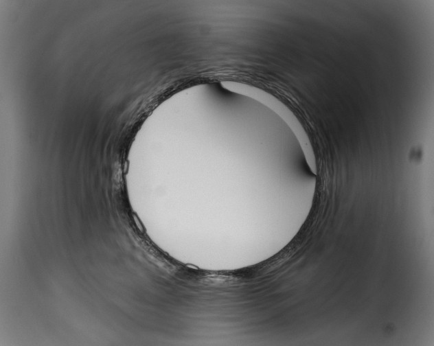 X0000114990617200911231143