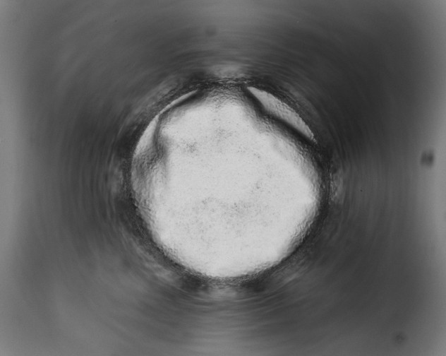 X0000114990618200911231143