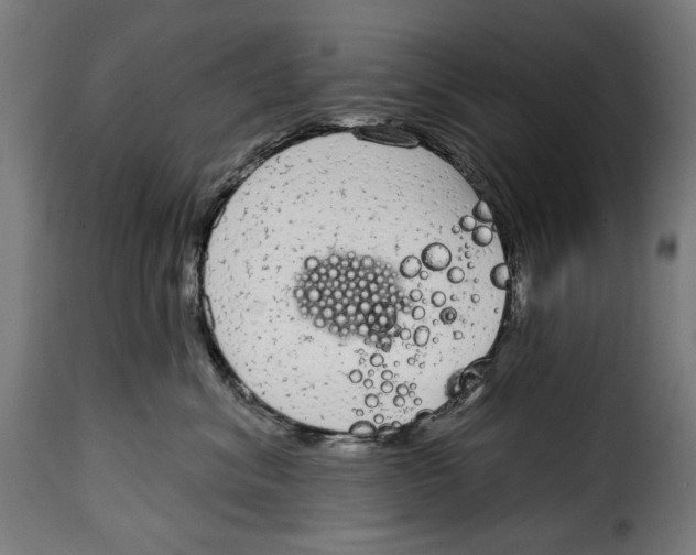 X0000114990620200911231143