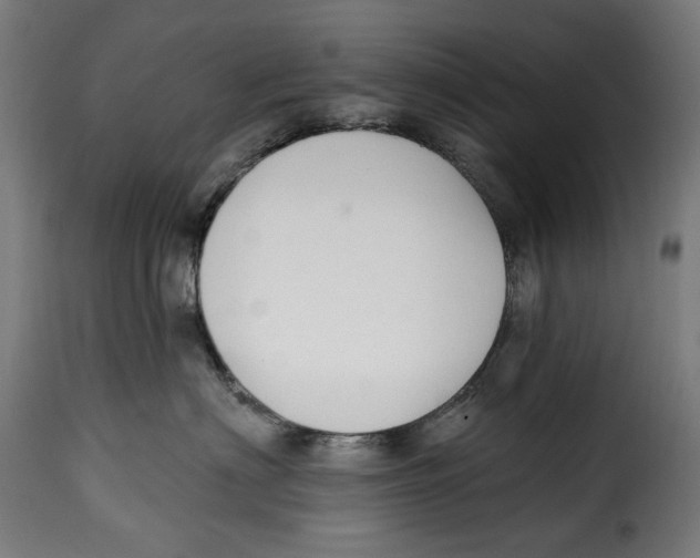 X0000114990622200911231143