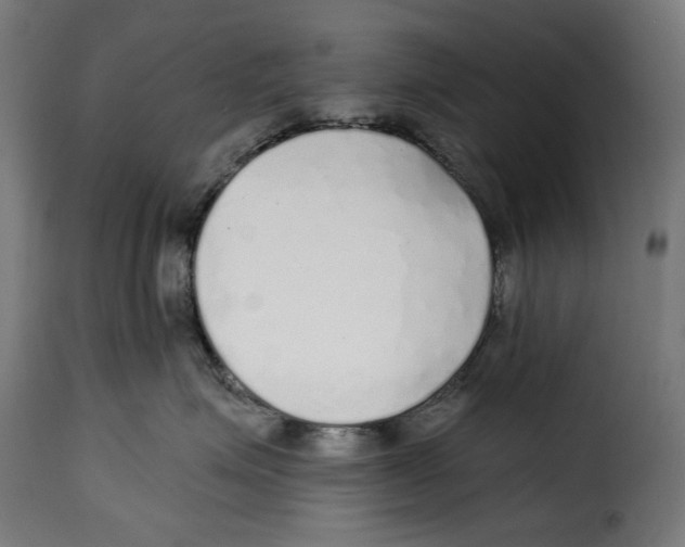 X0000114990623200911231143