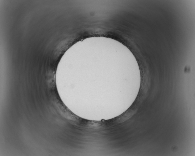 X0000114990624200911231143