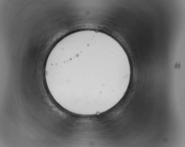 X0000114990625200911231142