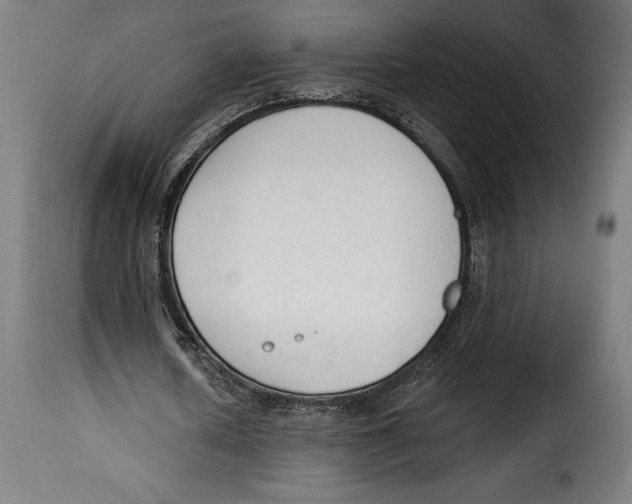 X0000114990626200911231142