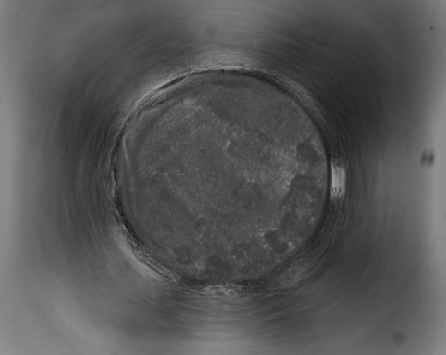 X0000114990627200911231142