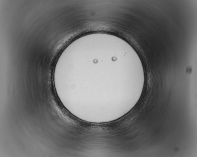 X0000114990629200911231142