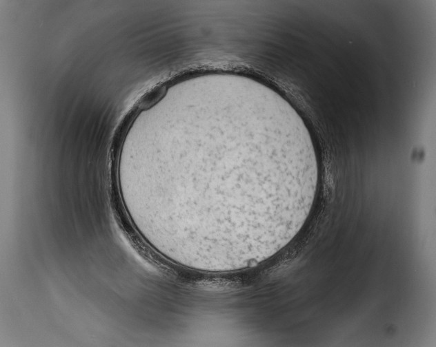 X0000114990630200911231142