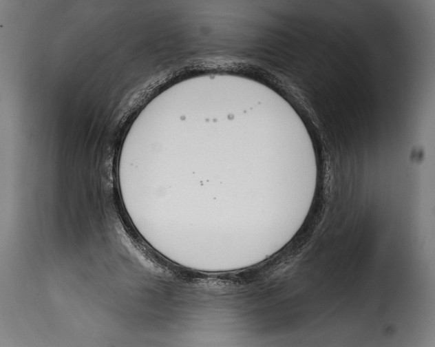 X0000114990633200911231142