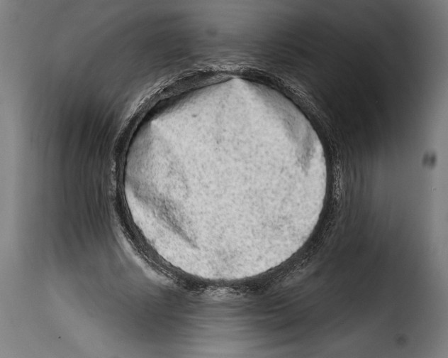 X0000114990634200911231142