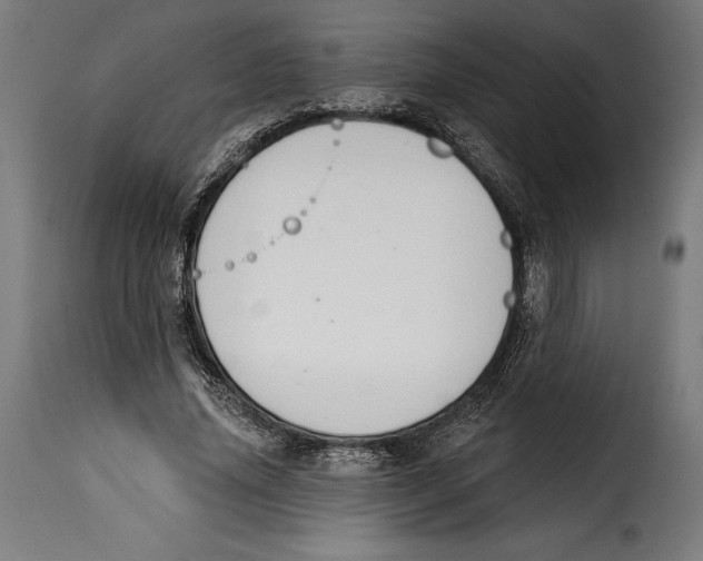 X0000114990636200911231142