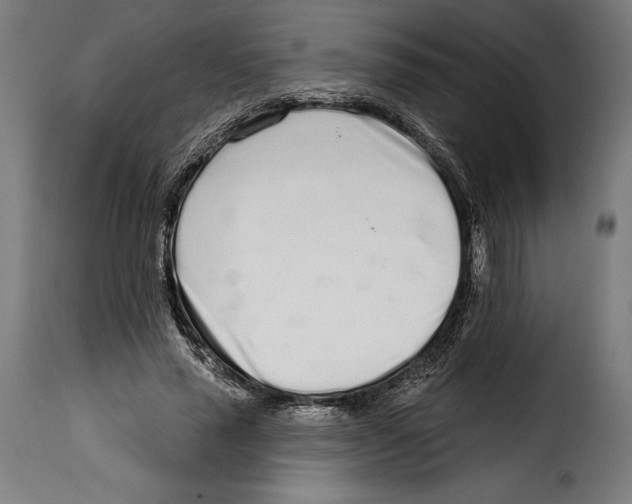 X0000114990637200911231142