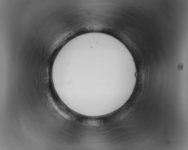 X0000114990638200911231142