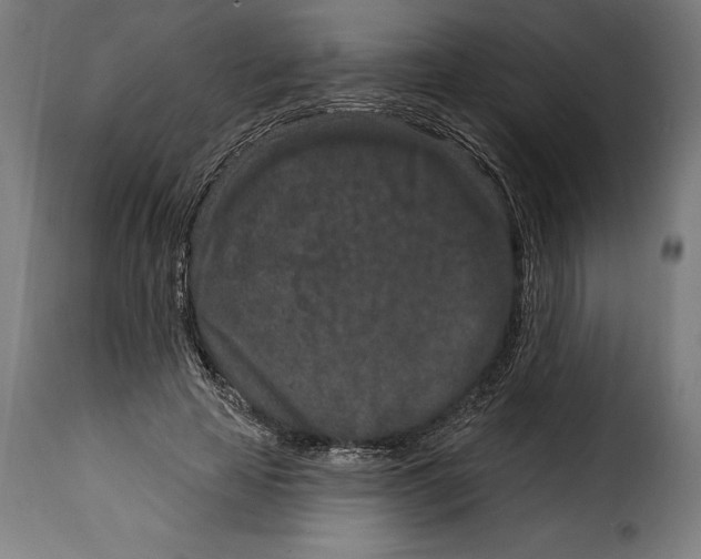 X0000114990641200911231142