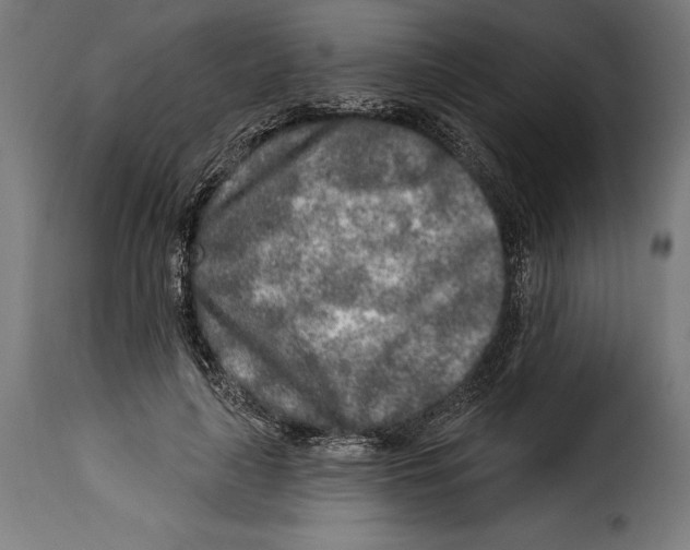 X0000114990643200911231142