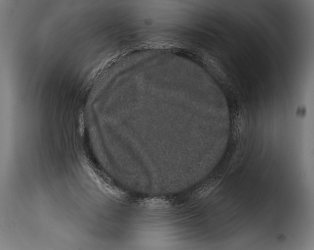 X0000114990644200911231142