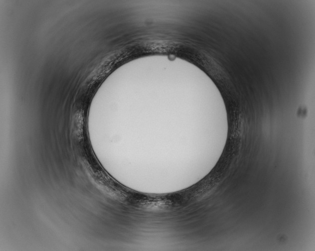 X0000114990646200911231142