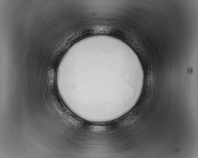 X0000114990649200911231142