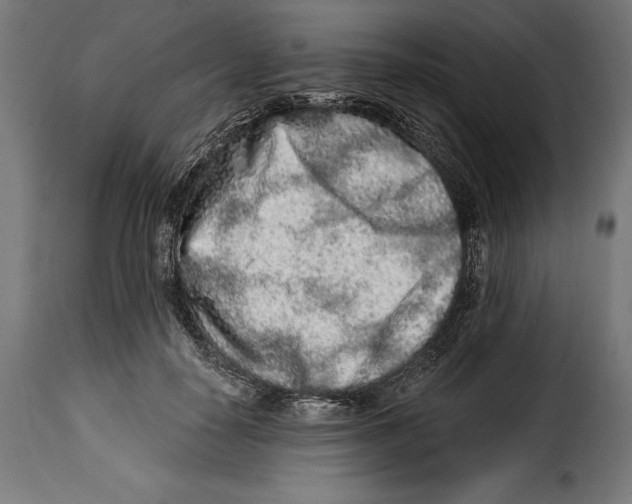 X0000114990650200911231142