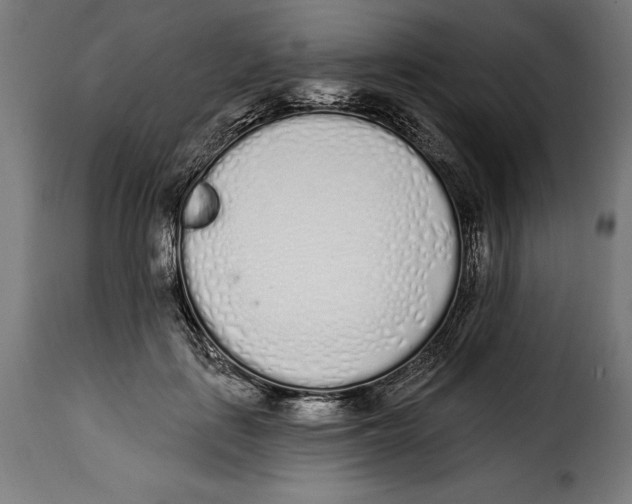 X0000114990651200911231142