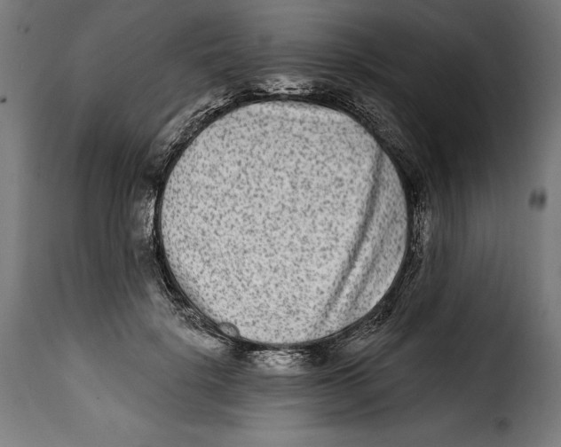 X0000114990652200911231142