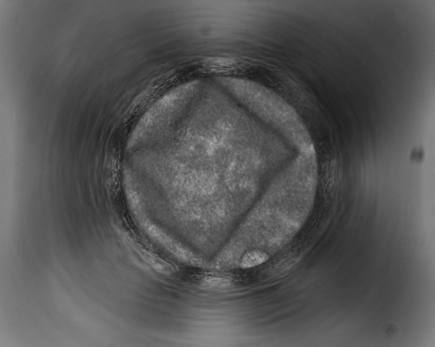 X0000114990653200911231142