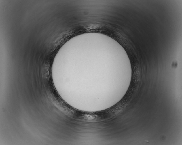 X0000114990654200911231142