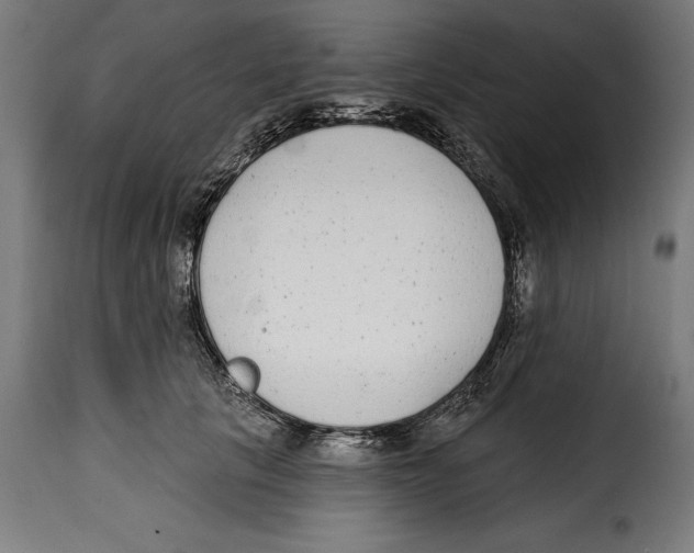 X0000114990657200911231142