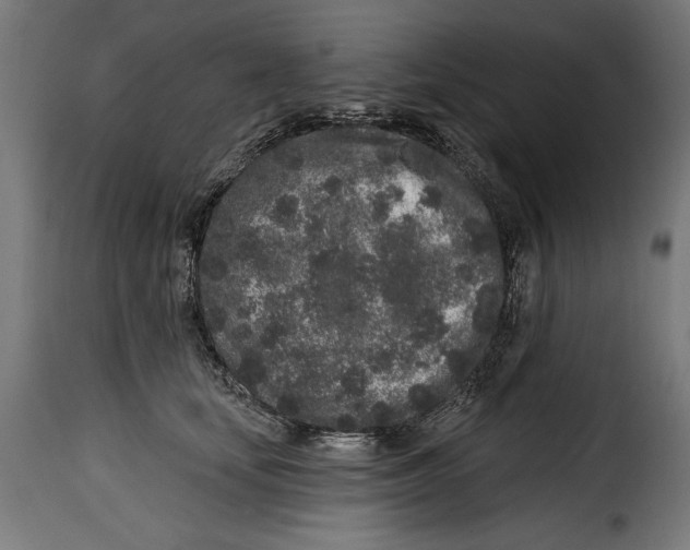 X0000114990659200911231142