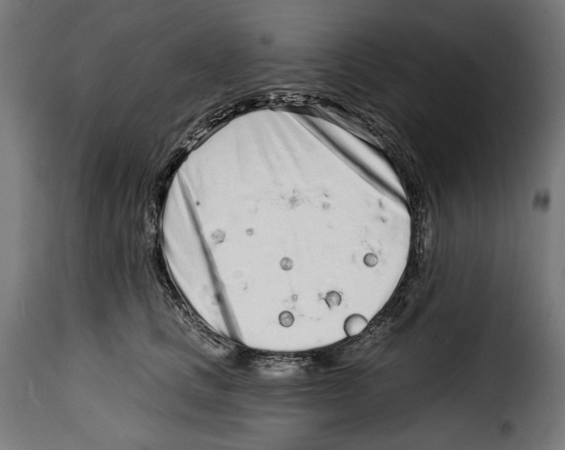 X0000114990661200911231142