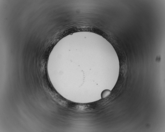 X0000114990662200911231142